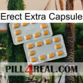 Erect Extra Capsule cialis4